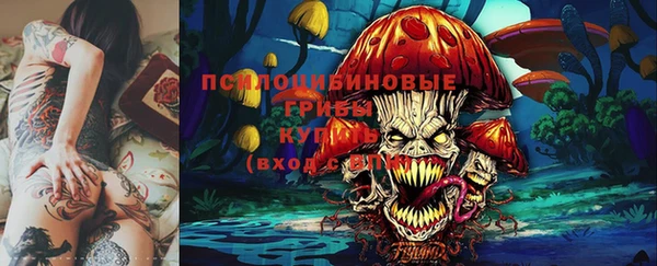тгк Алзамай