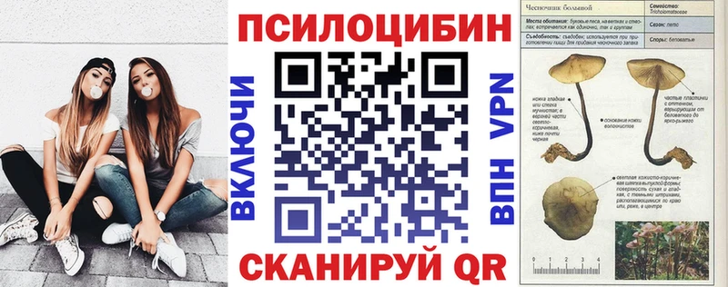 Купить где  Тында  Псилоцибиновые грибы прущие грибы 
